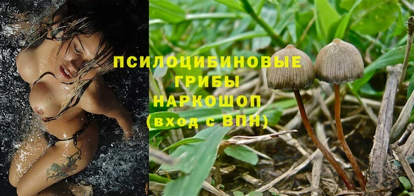 тгк Алексин