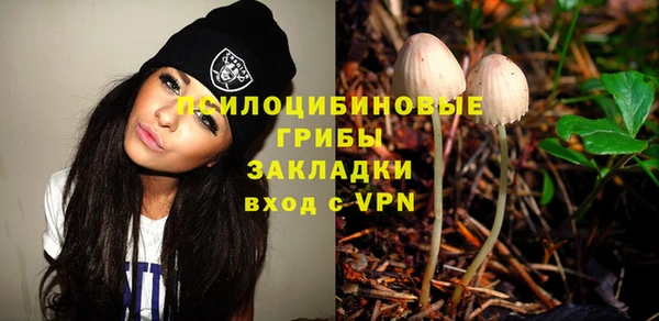 спайс Алзамай