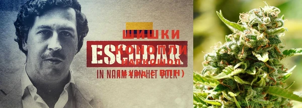 MDMA Абаза