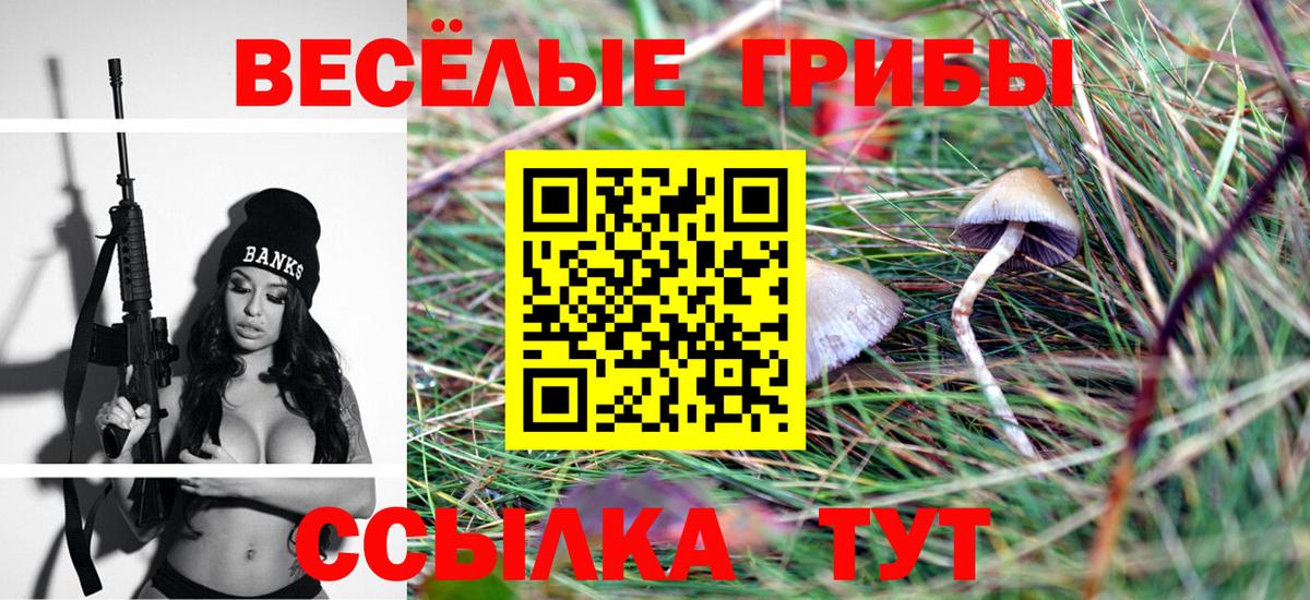 Луга  Псилоцибиновые грибы Psilocybine cubensis  сколько стоит  Вход с VPN 