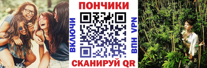 магазин продажи   Луга  Канабис индика 