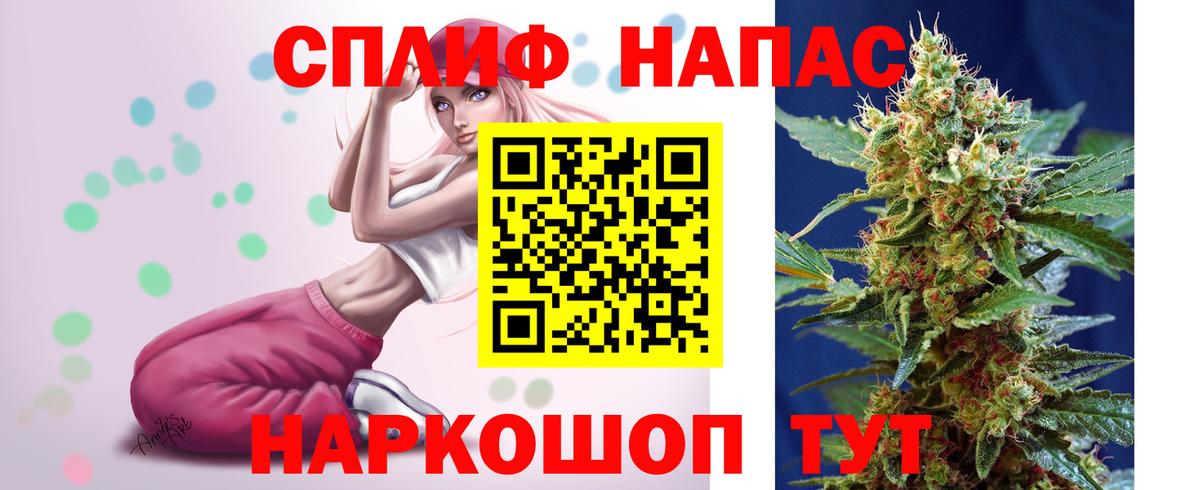 Марихуана план  Конопля MAZAR  Шишки марихуана конопля  Луга  Конопля план  Вход с VPN 