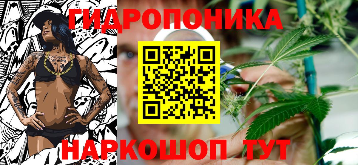 Шишки марихуана сатива Луга